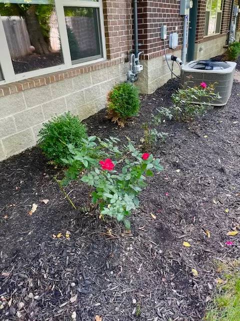 Property Image 67