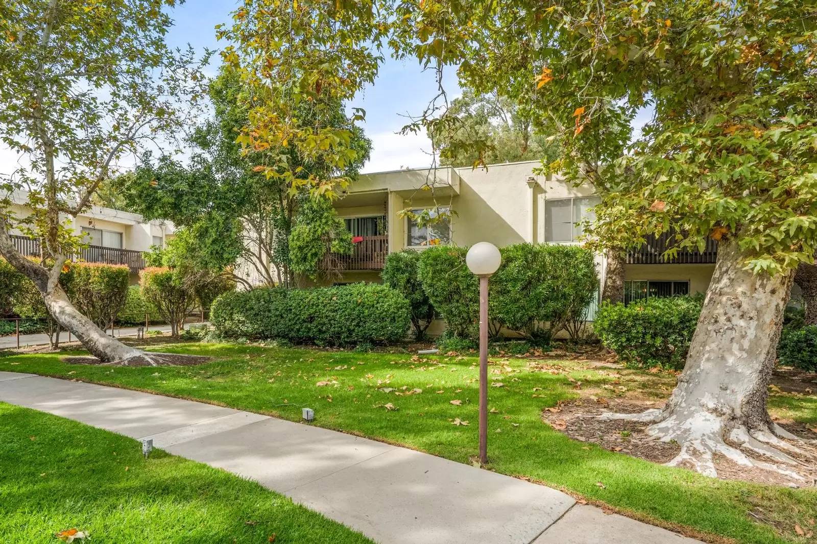 cover background