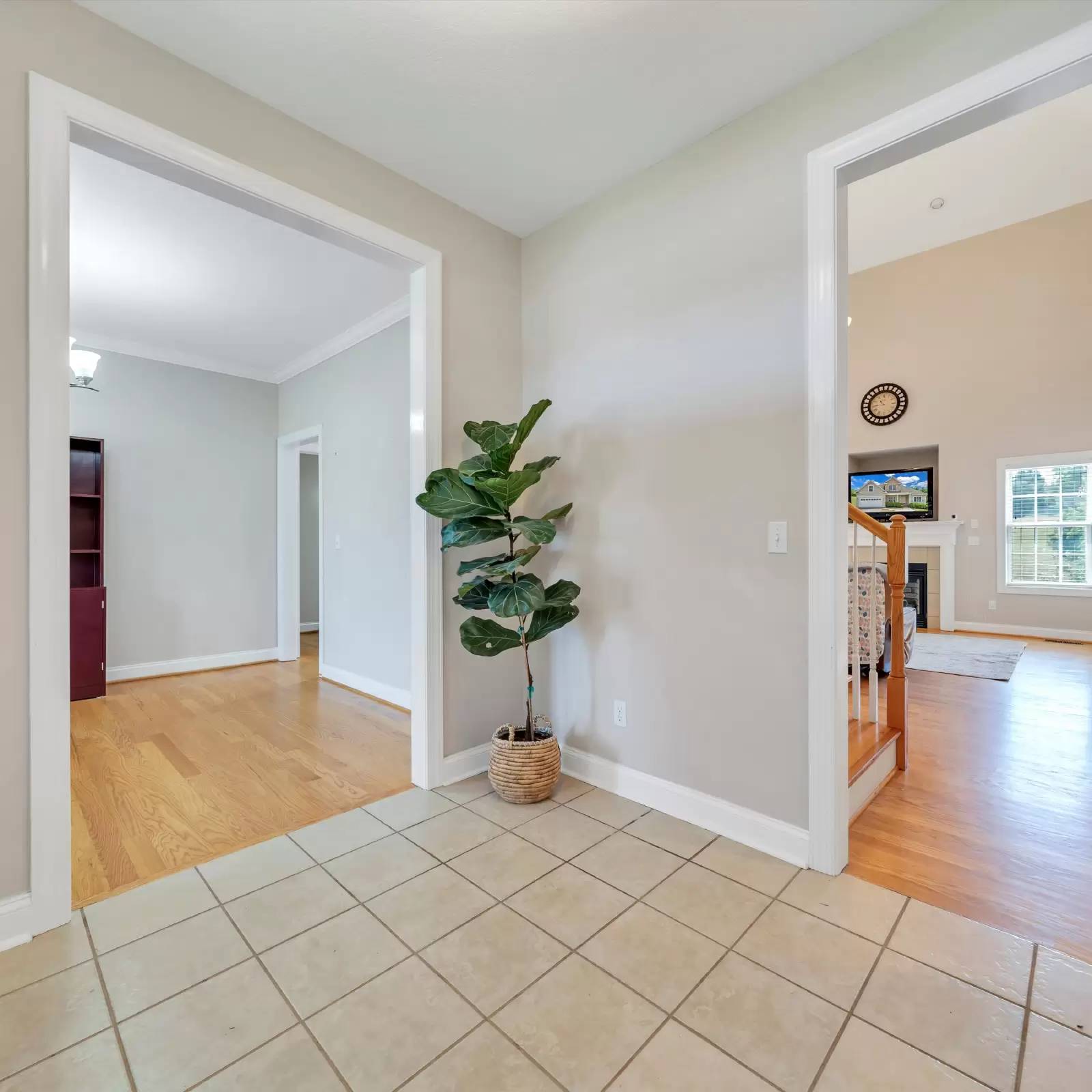 Property Image 69