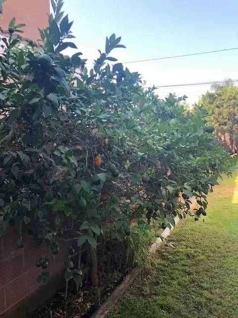 Property Image 46