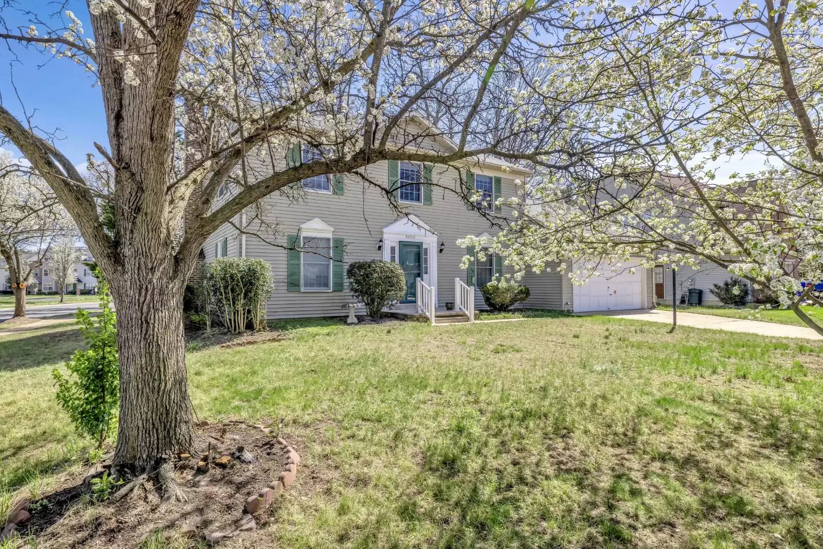 Property Image 41