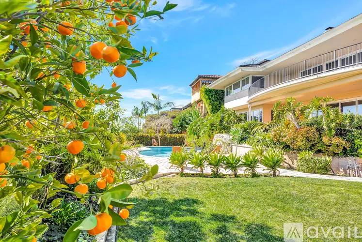Property Image 67