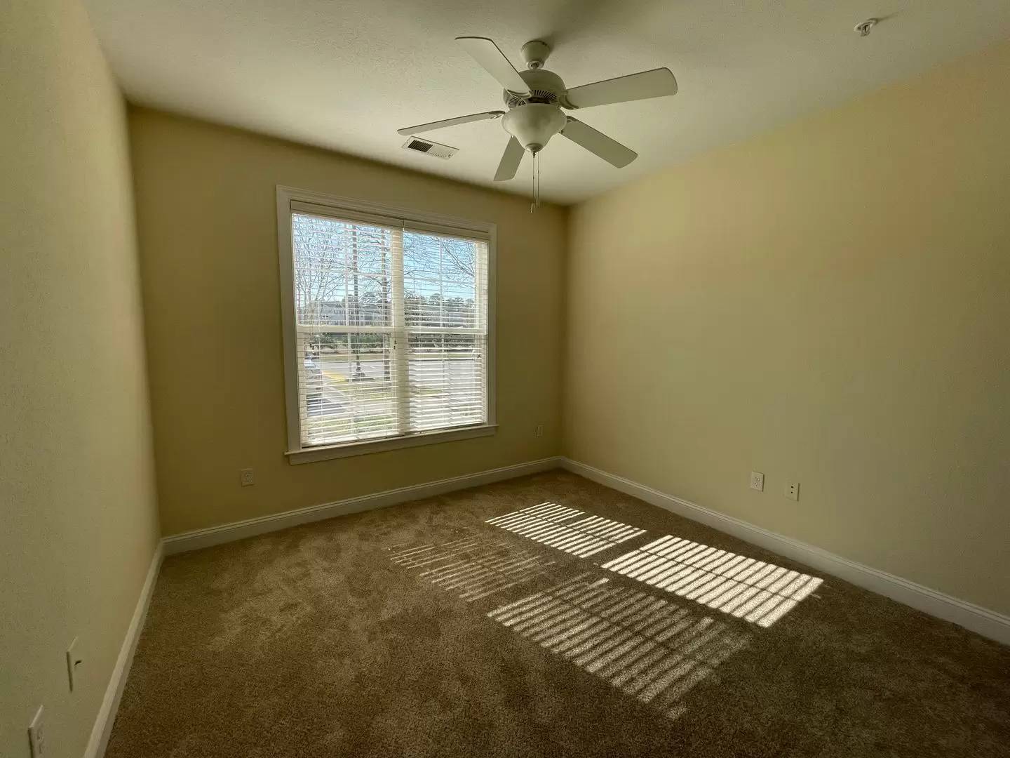 Property Image 82