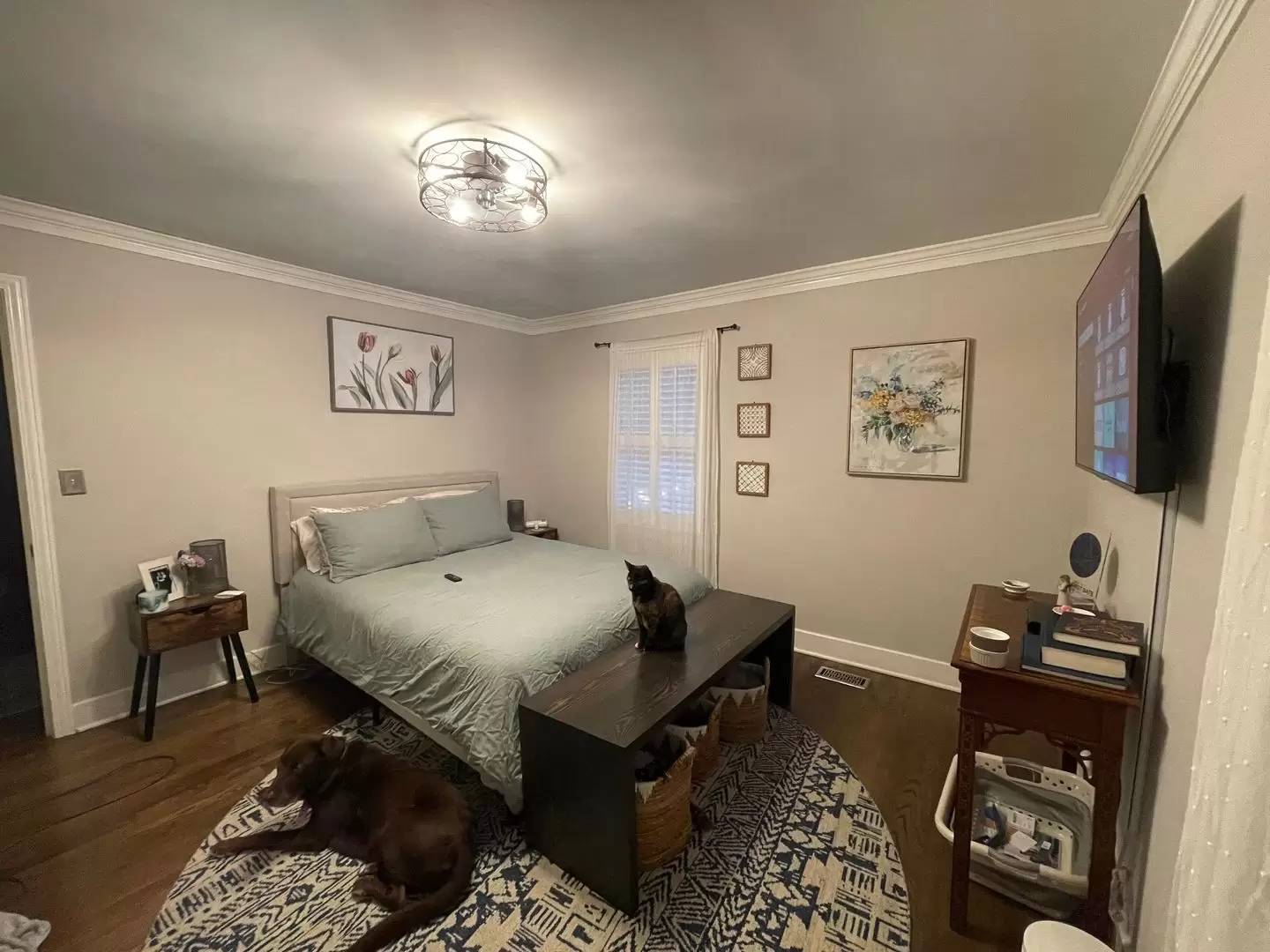 Property Image 6