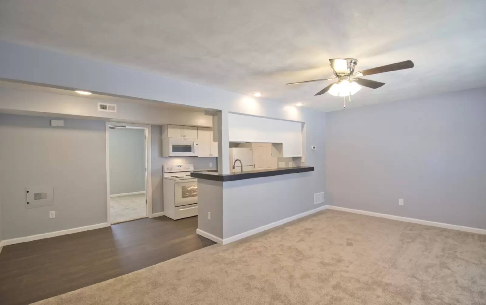 cover background