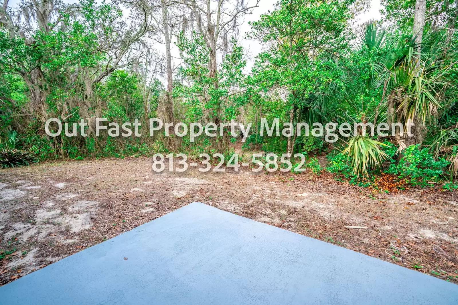 Property Image 58