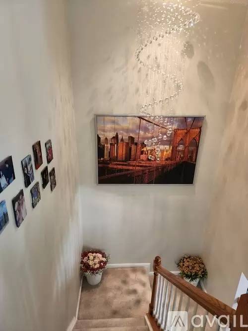 cover background