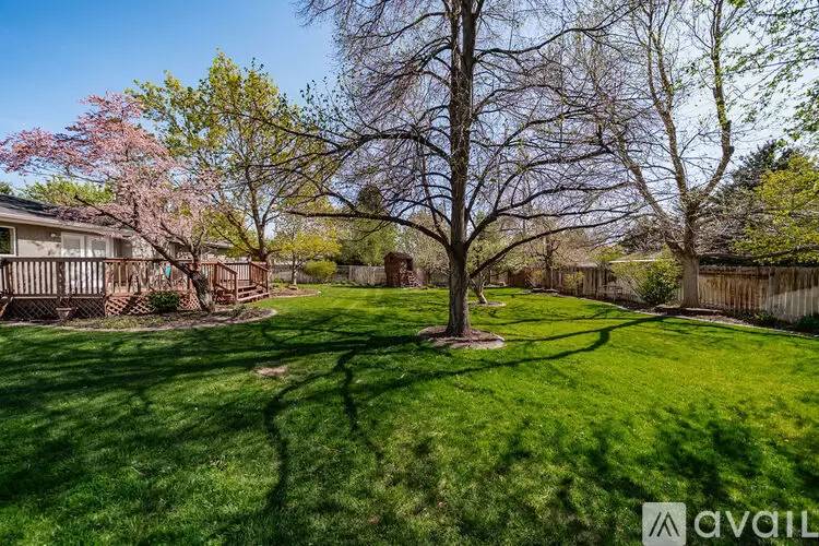 Property Image 63