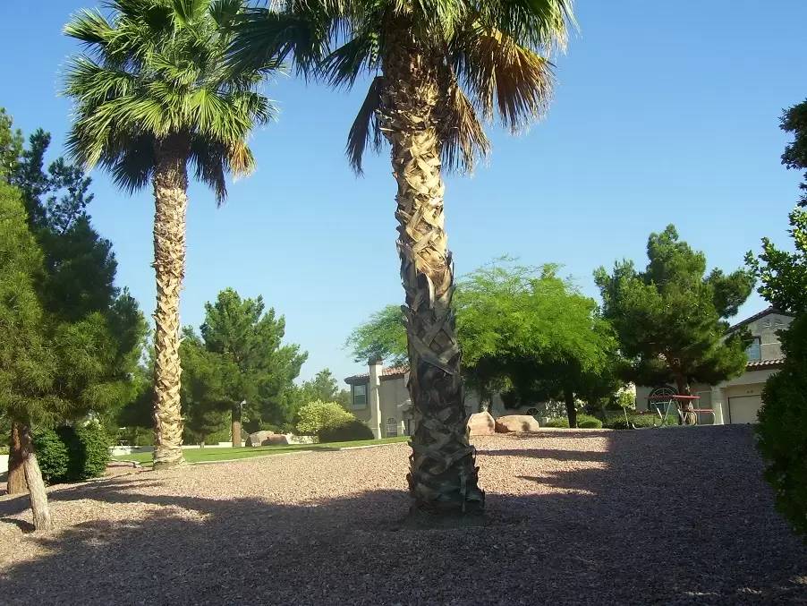 cover background