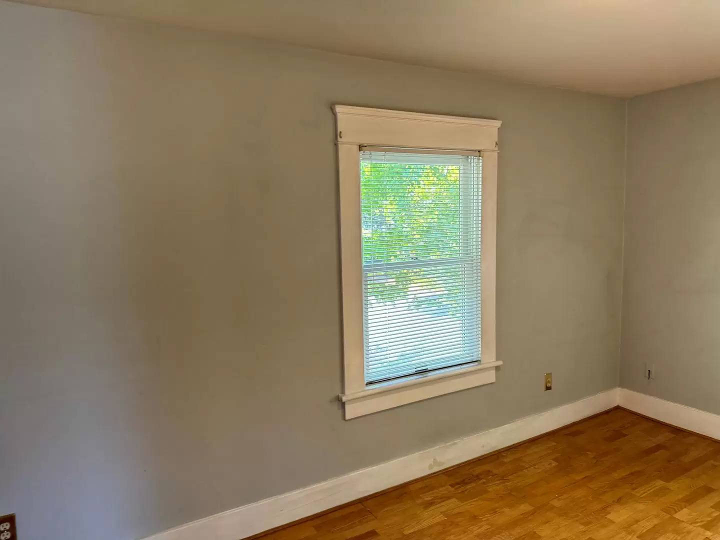 Property Image 81