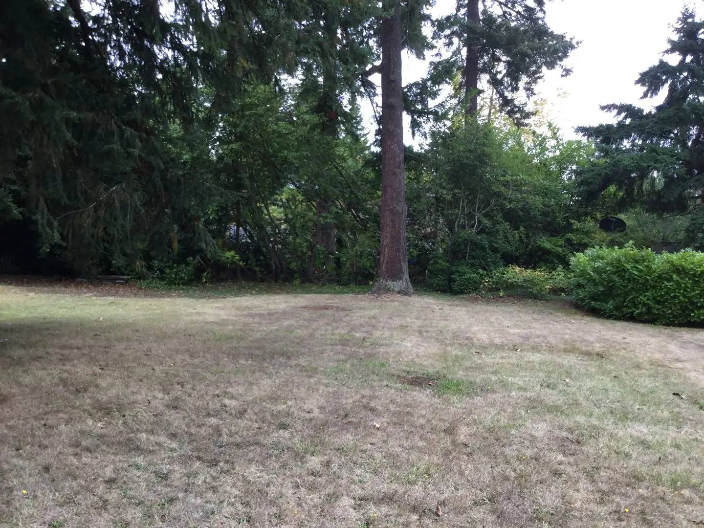 Property Image 65