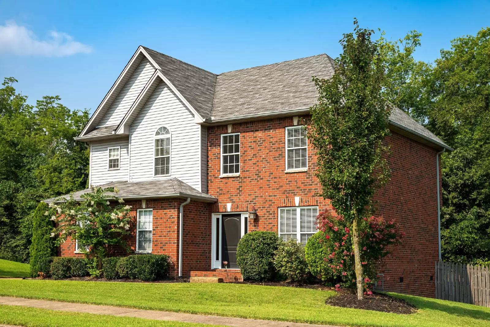cover background