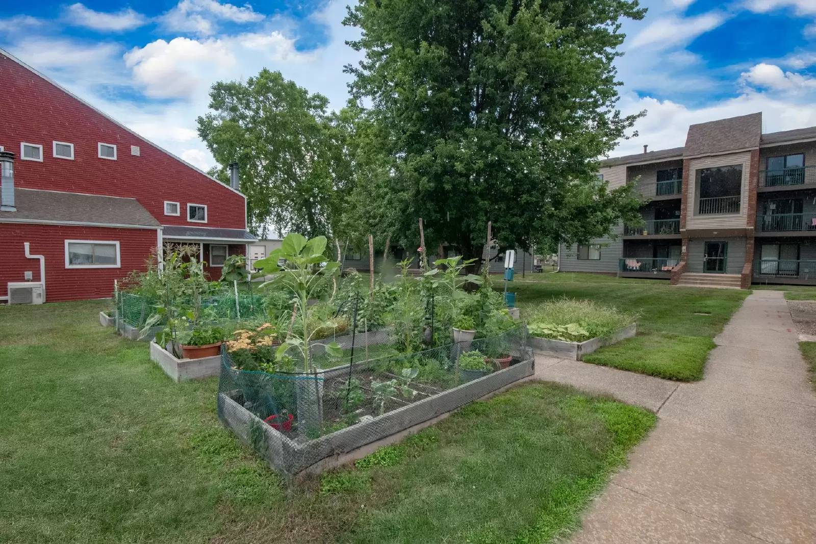 Property Image 5