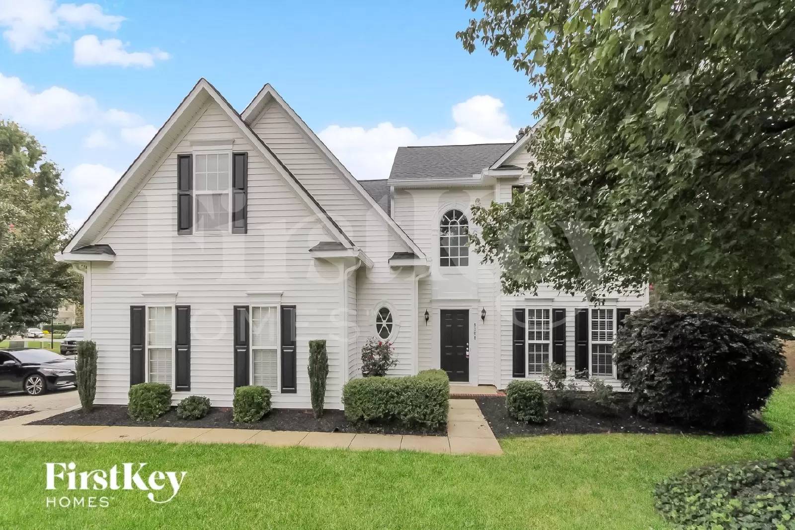 cover background