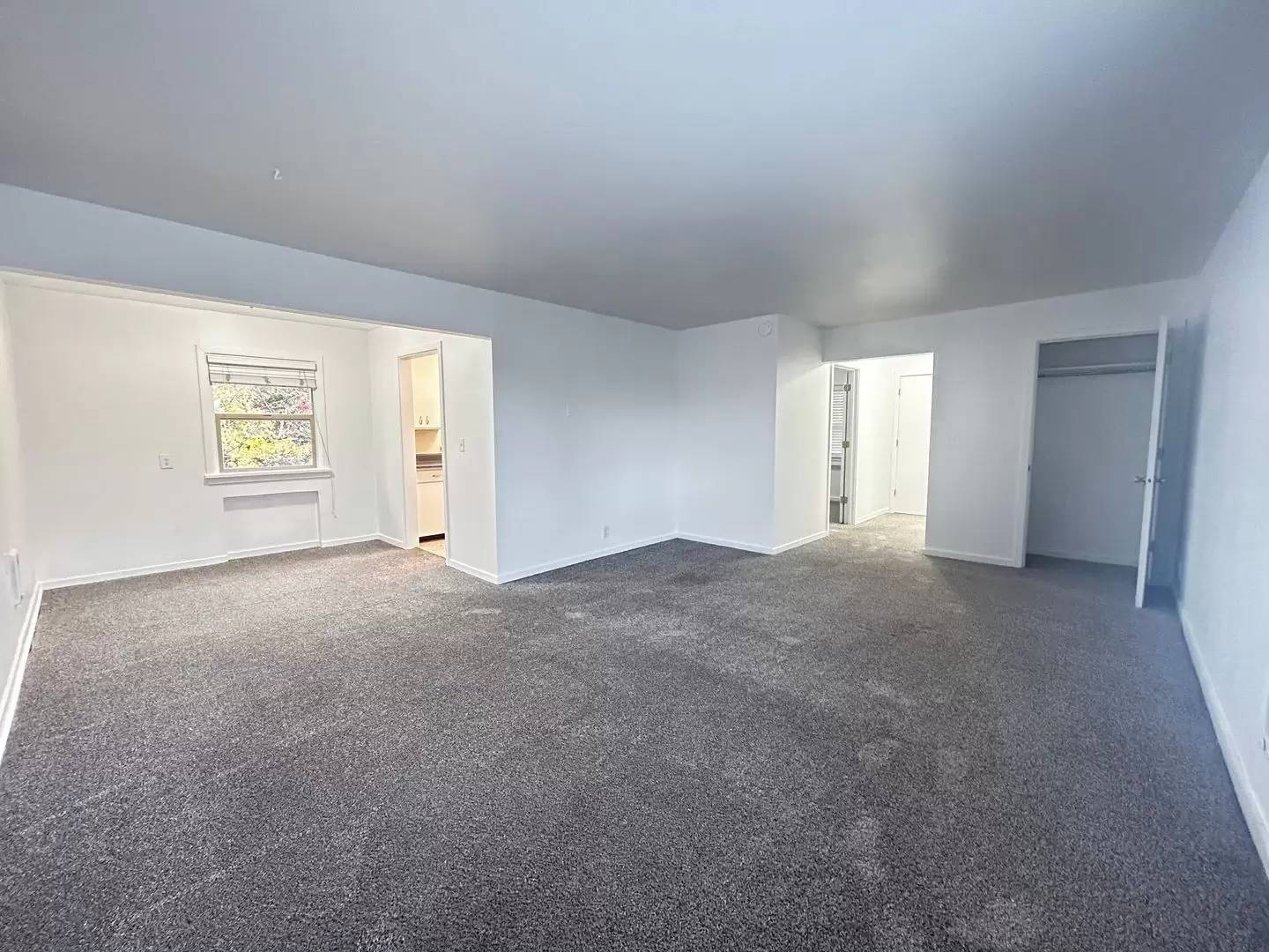 cover background