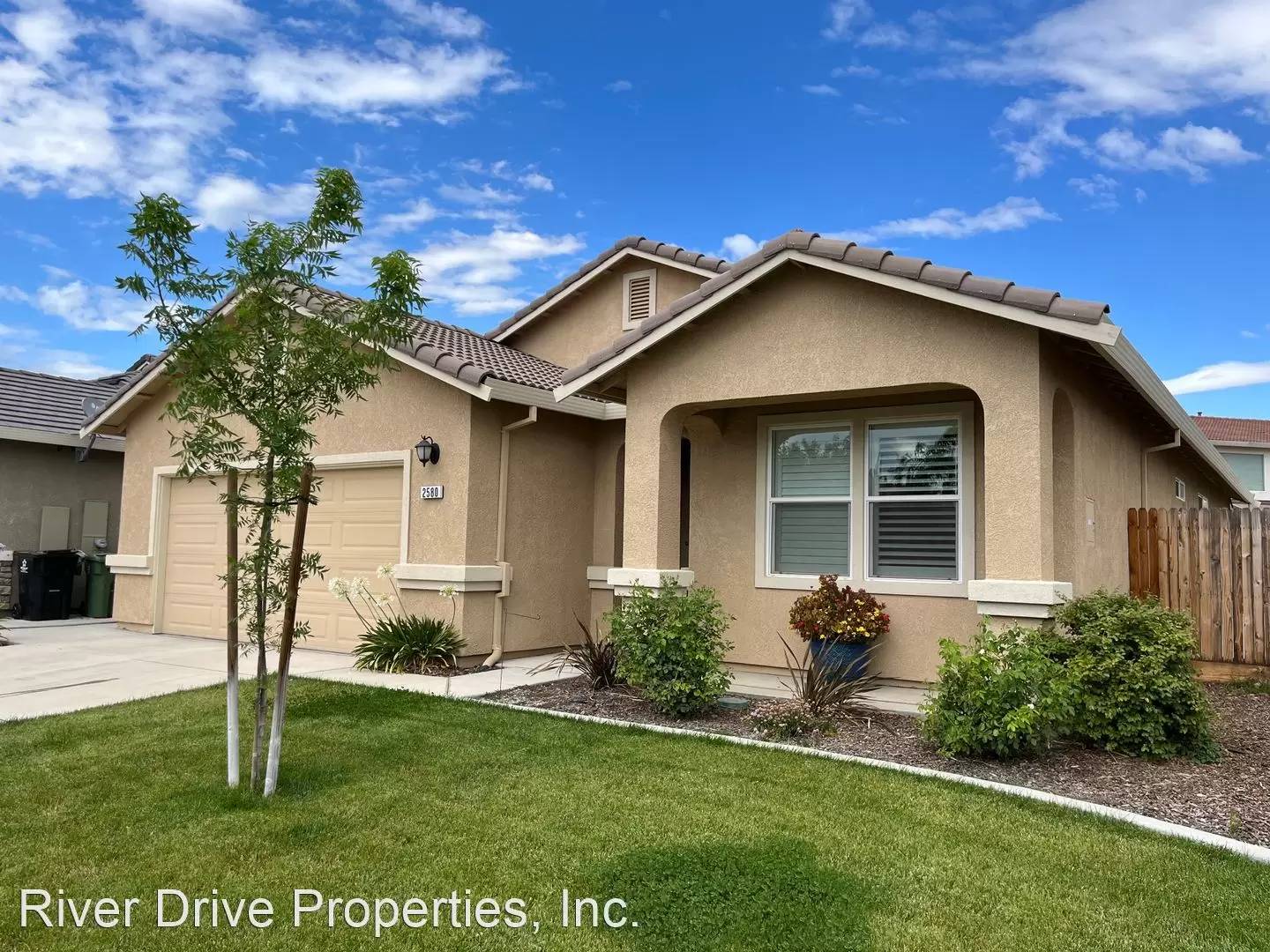 cover background