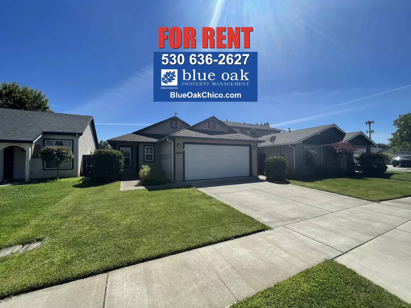 cover background