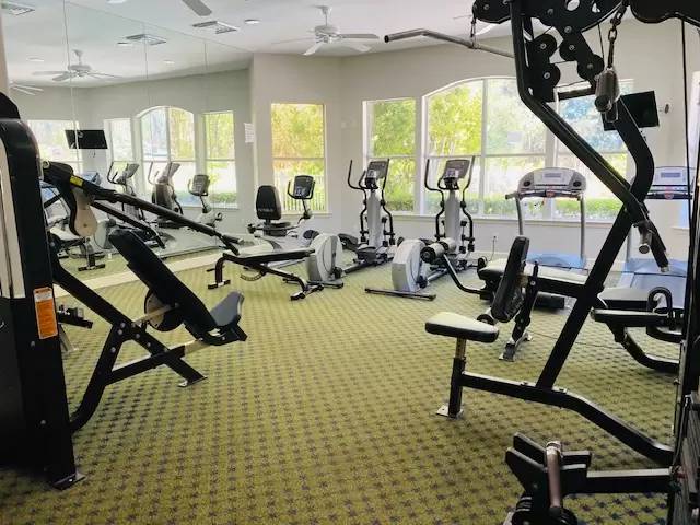 Property Image 81