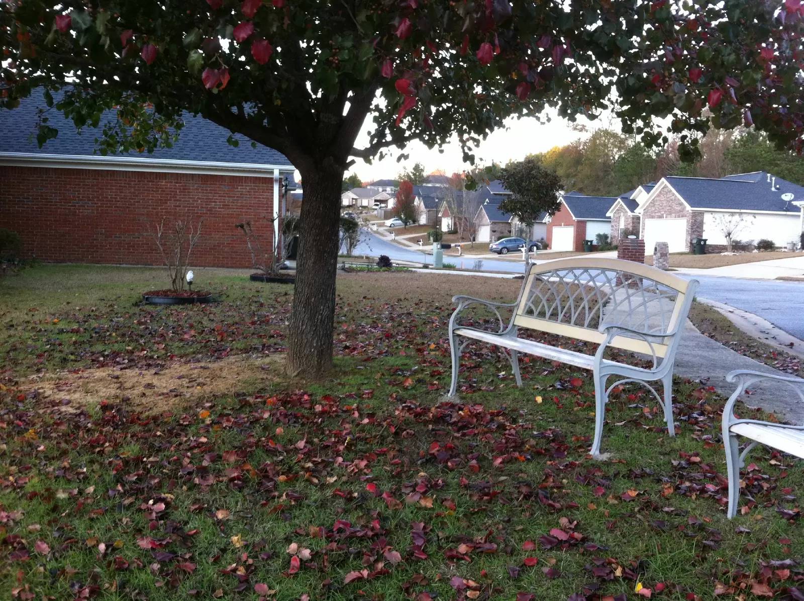 Property Image 17