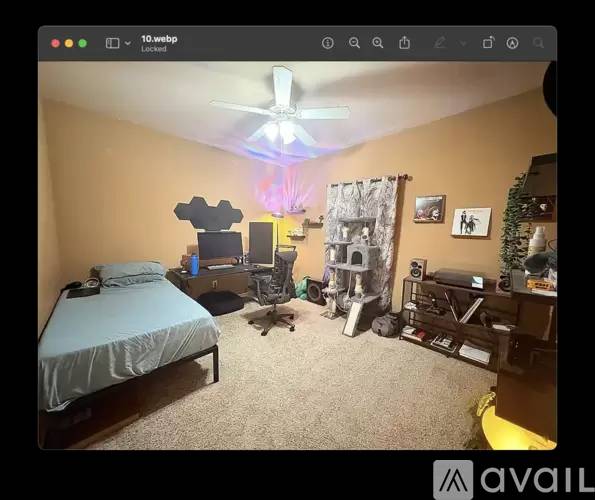 Property Image 10