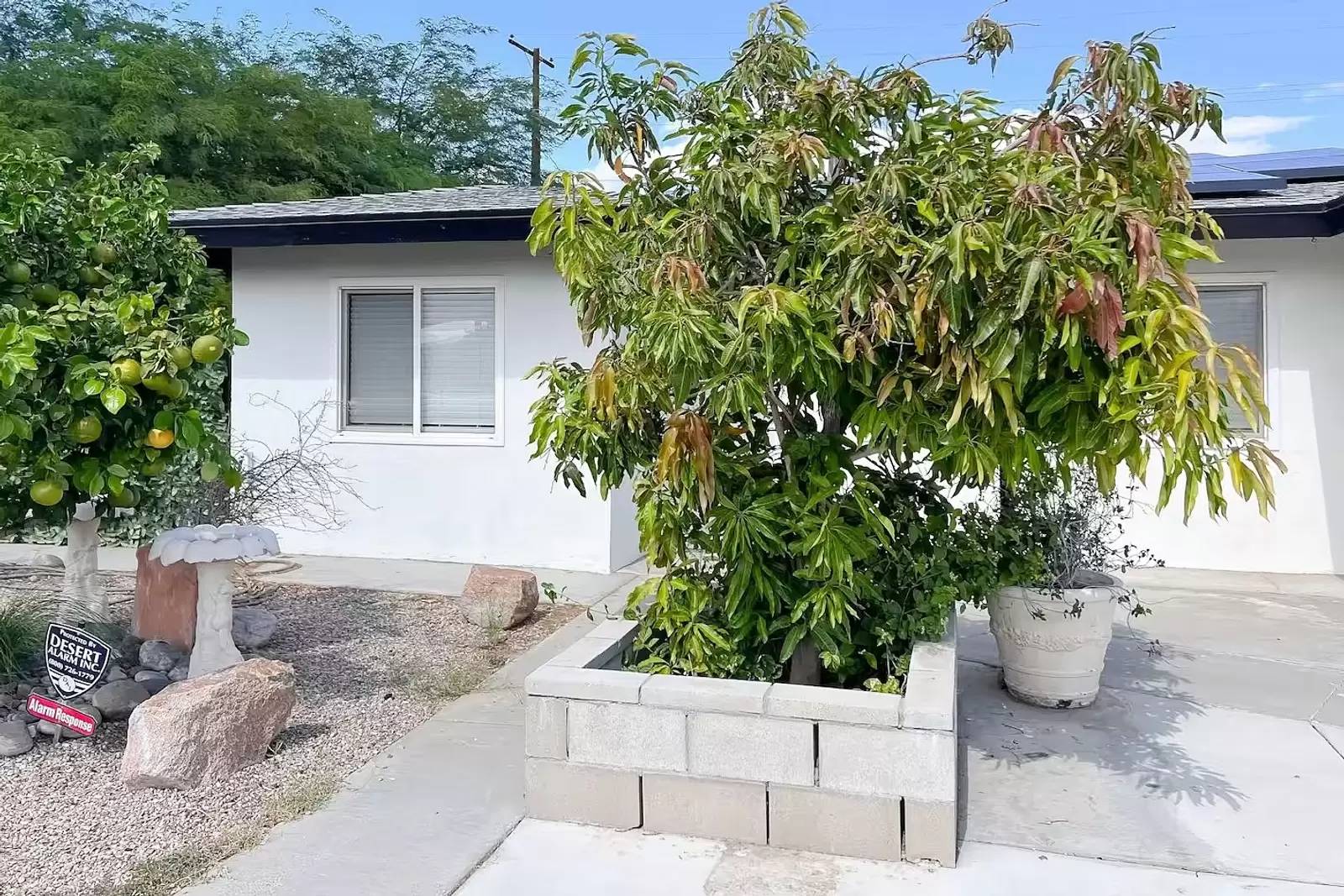 Property Image 46