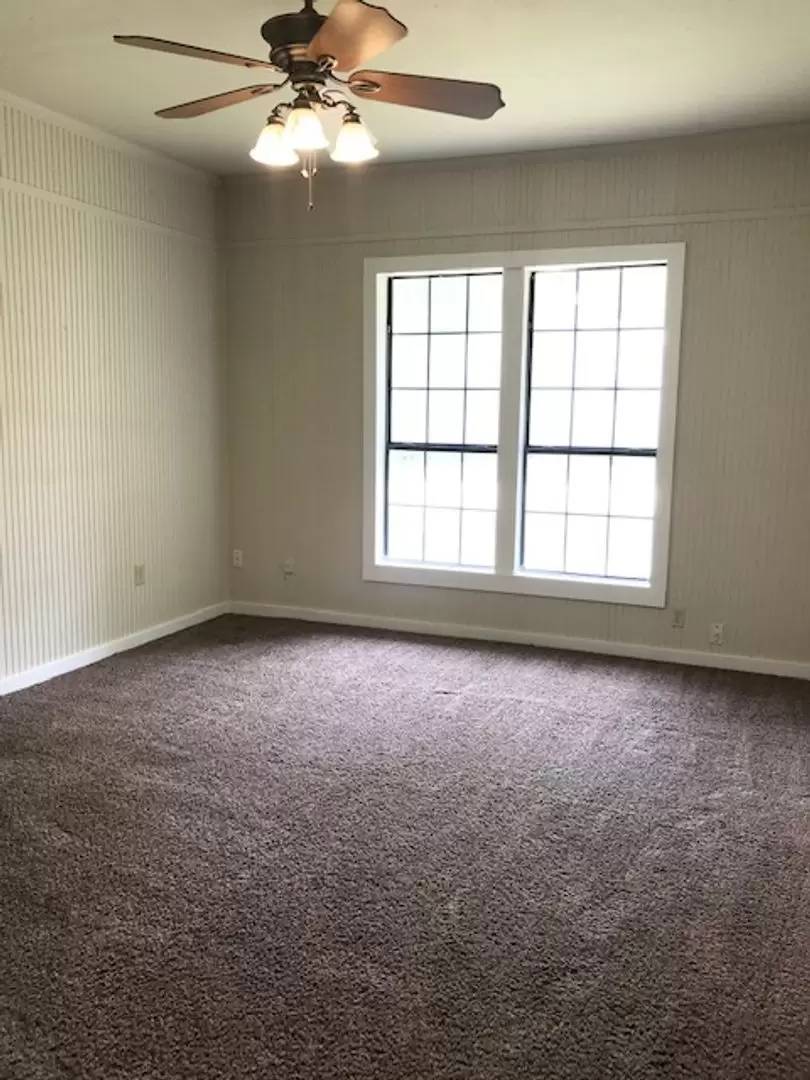 cover background