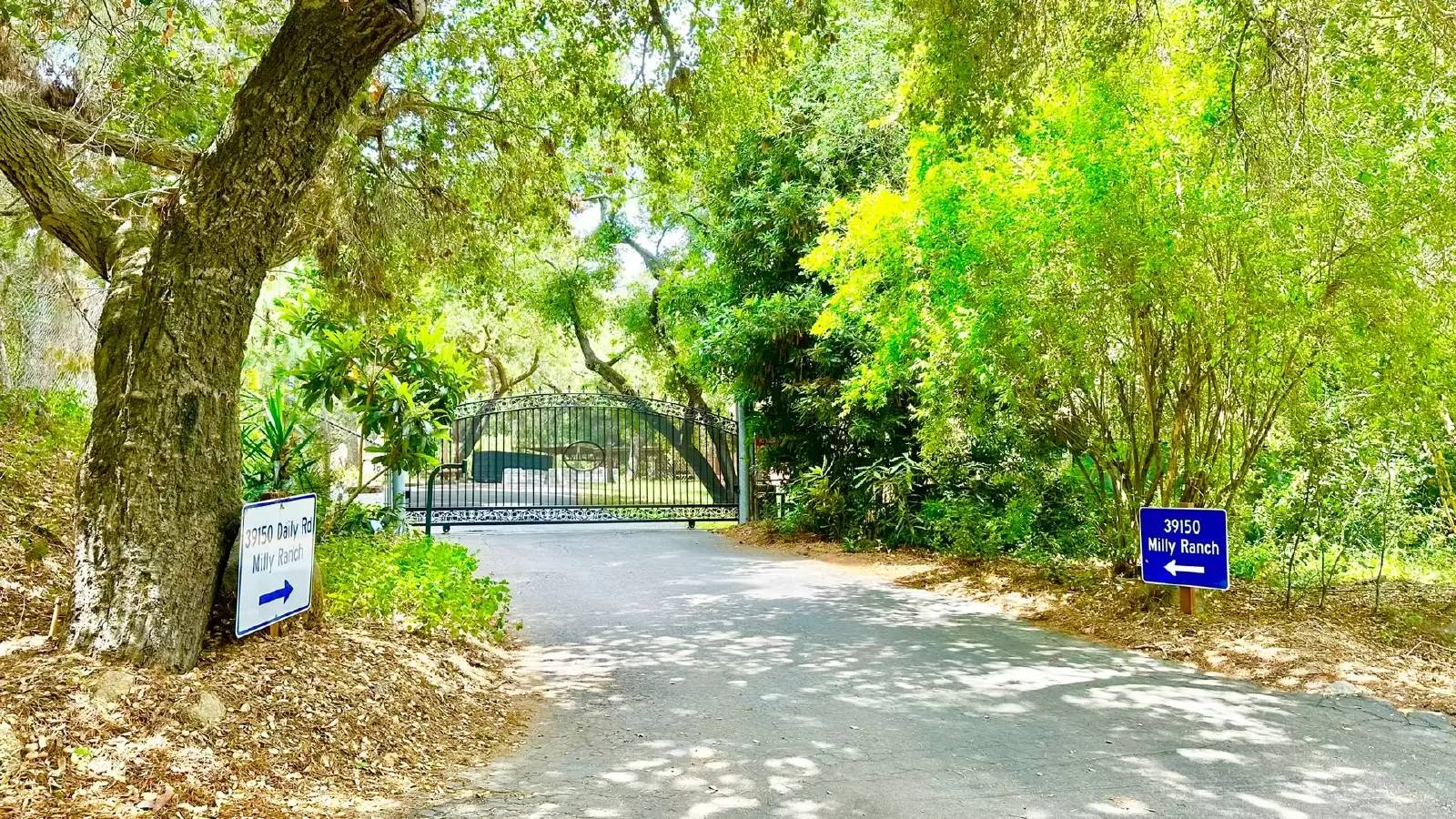 Property Image 48