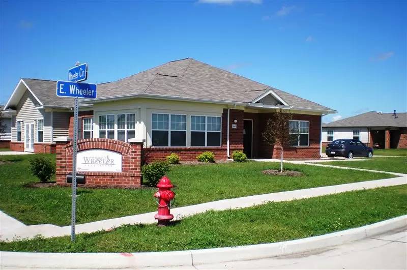 cover background