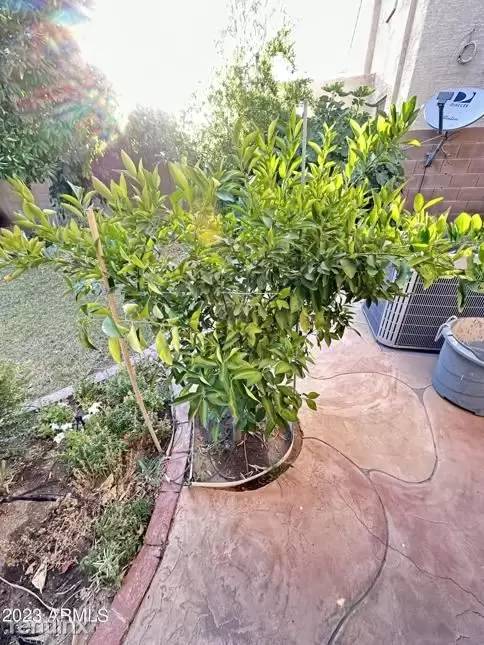 Property Image 58