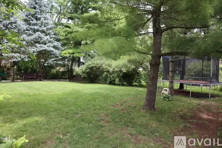 Property Image 46