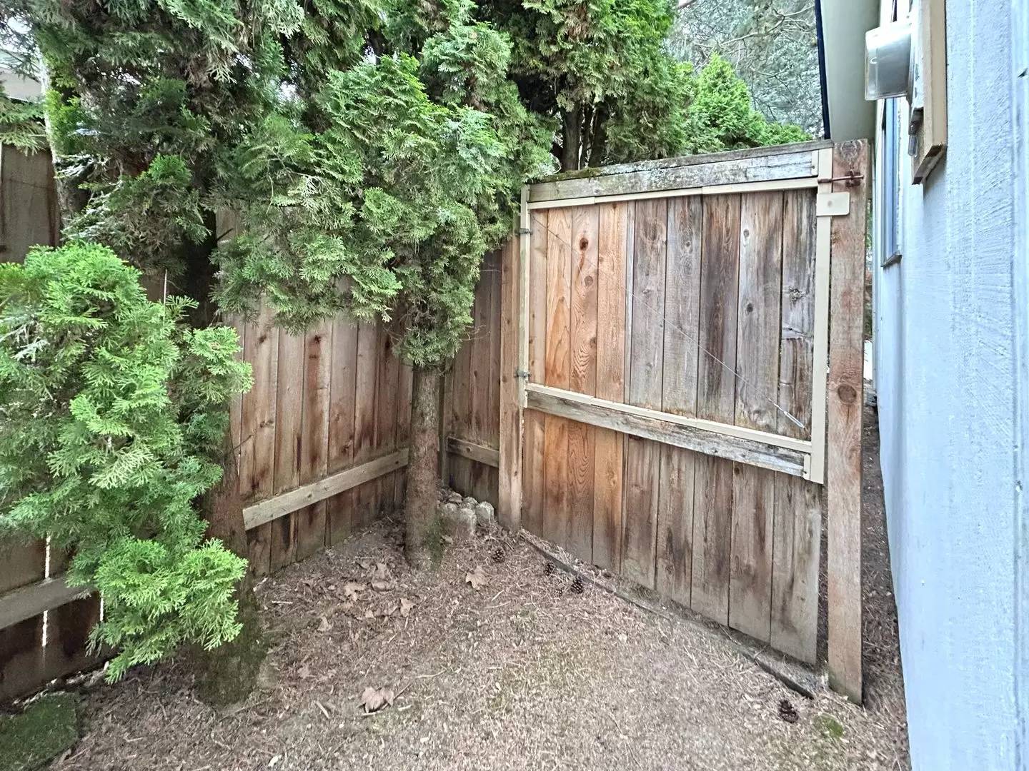 Property Image 58