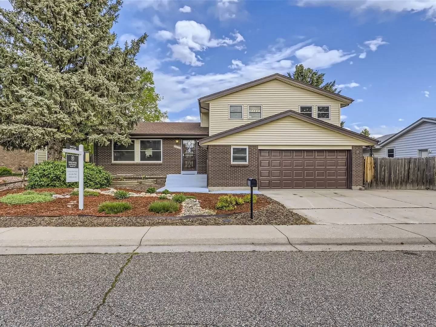 cover background