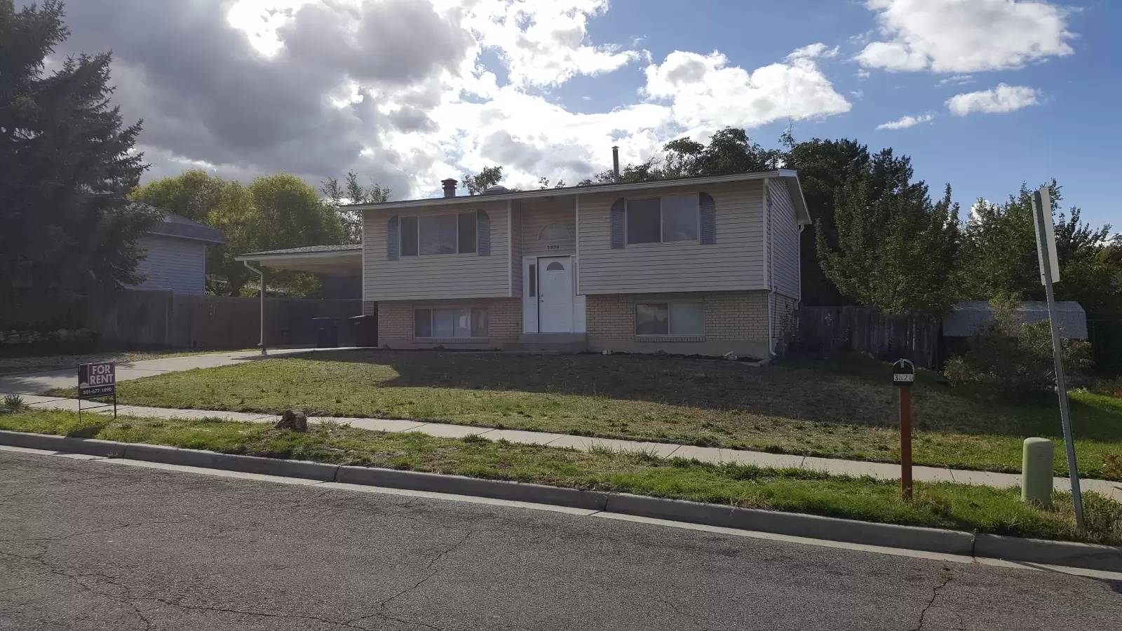 cover background