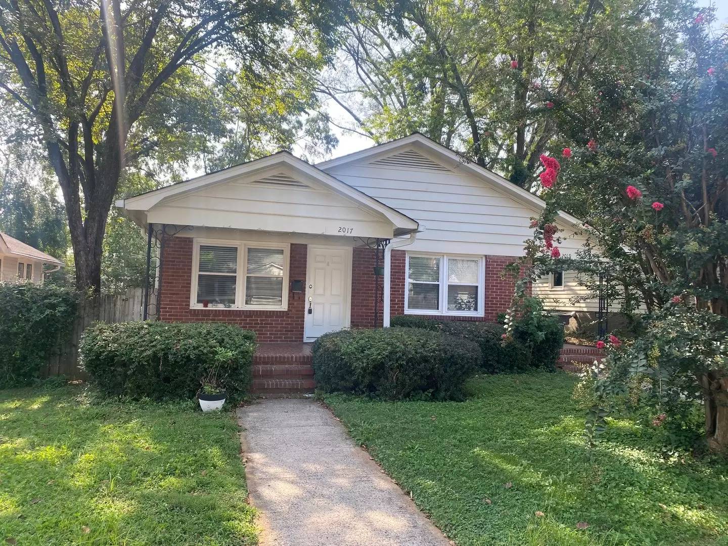 cover background