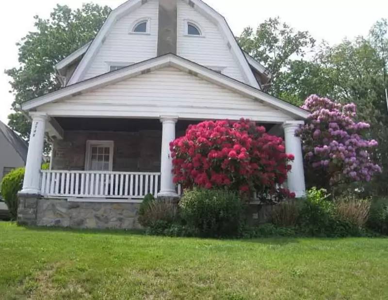 cover background