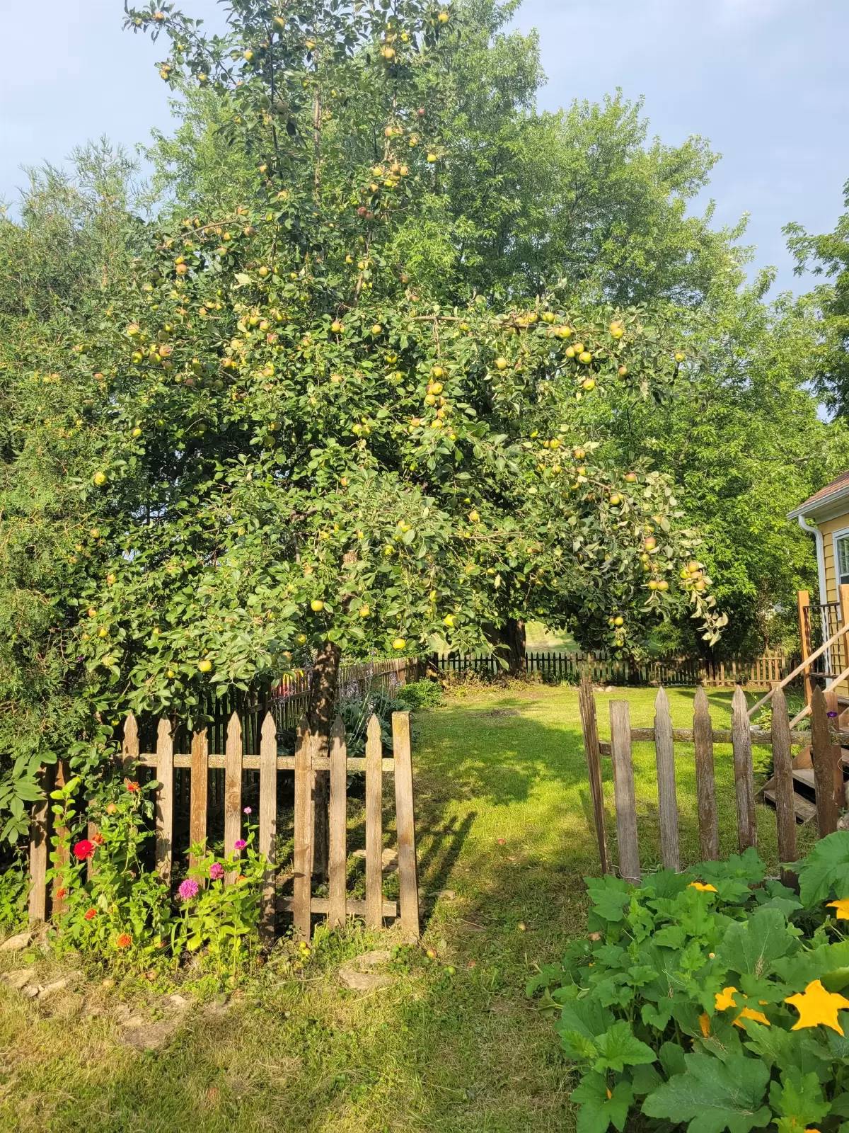 Property Image 37