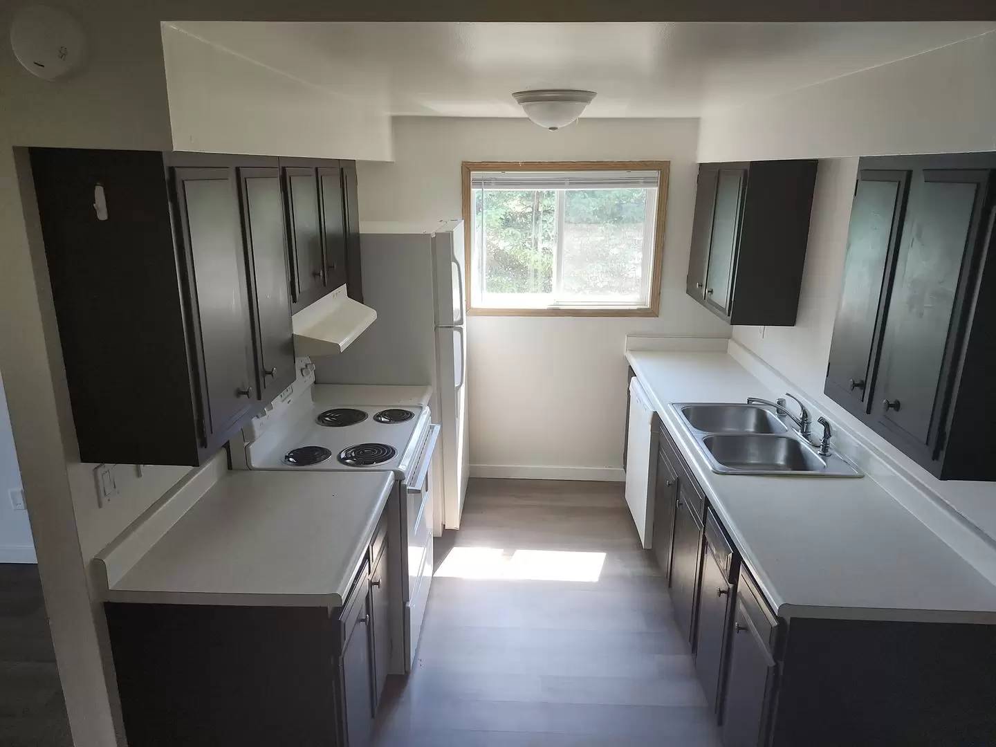 cover background