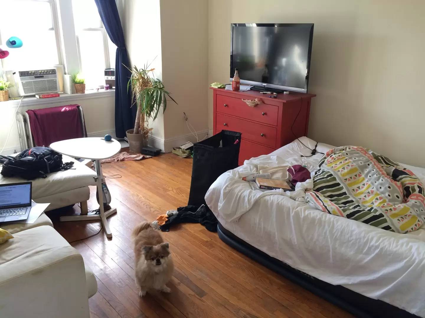 Property Image 7
