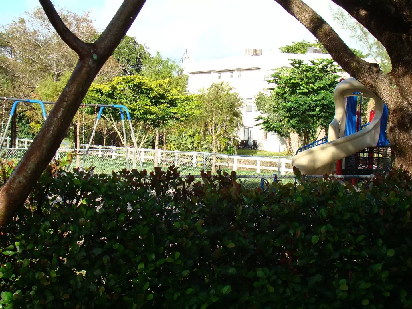 cover background