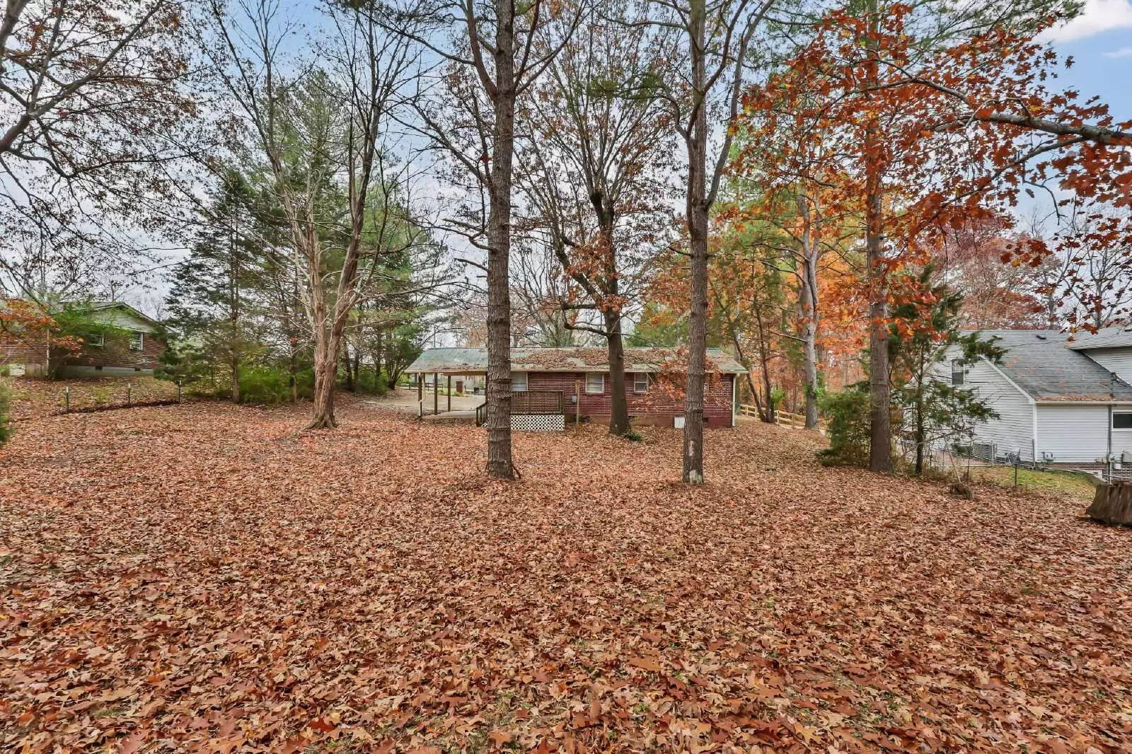 Property Image 27