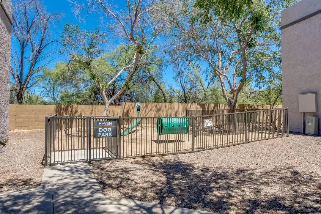 Property Image 41