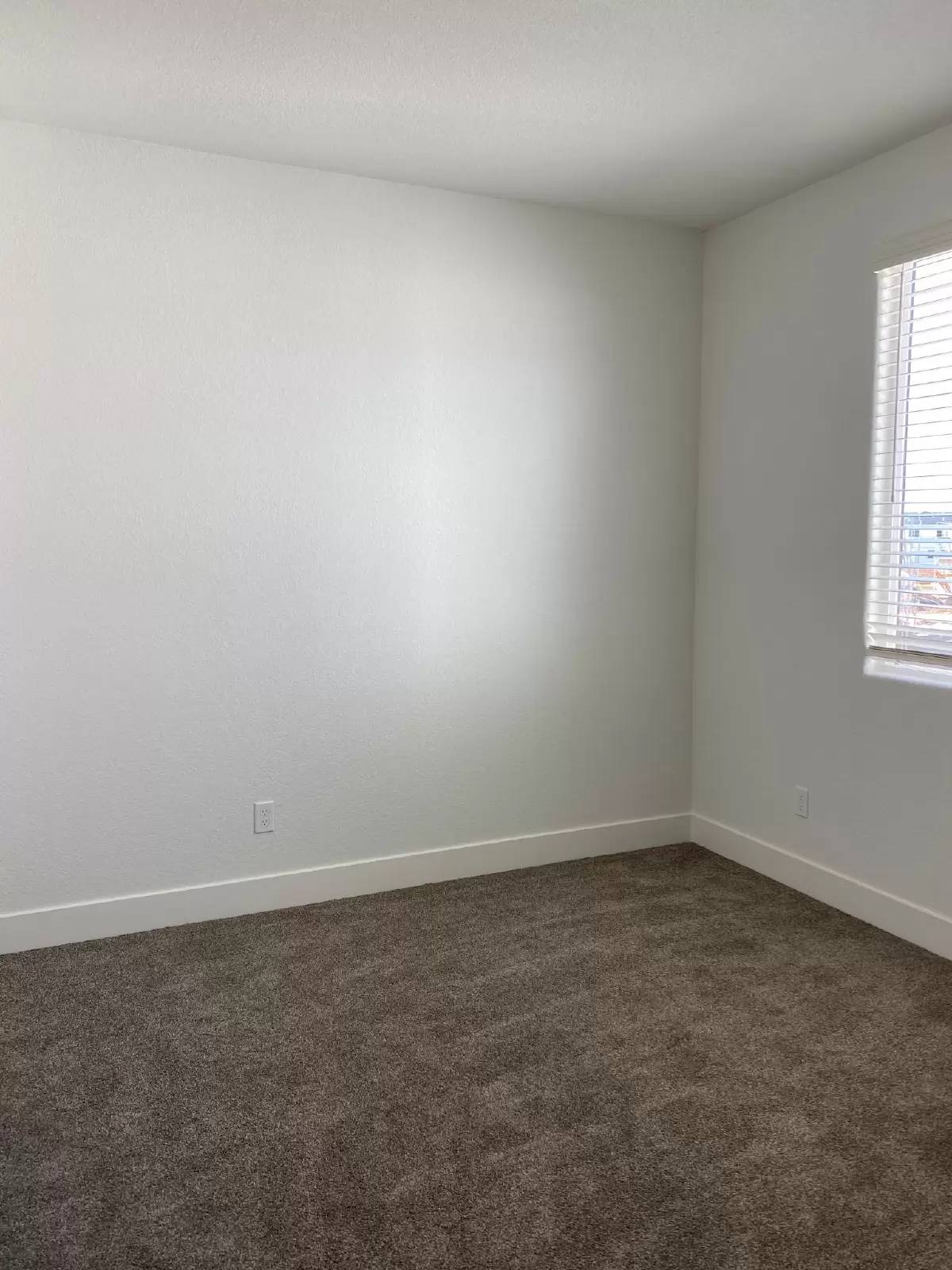 Property Image 78