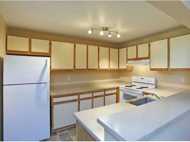 cover background