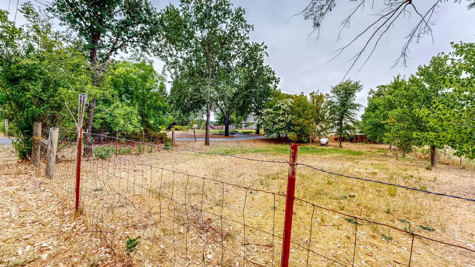 Property Image 88