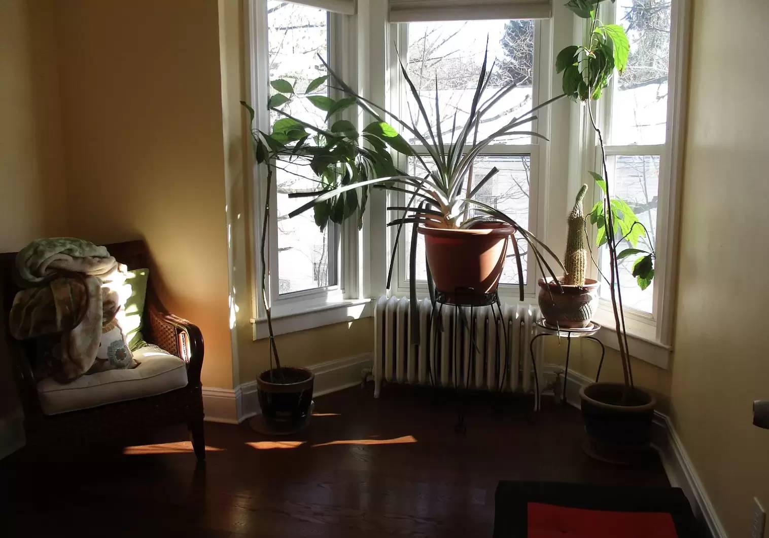 Property Image 18