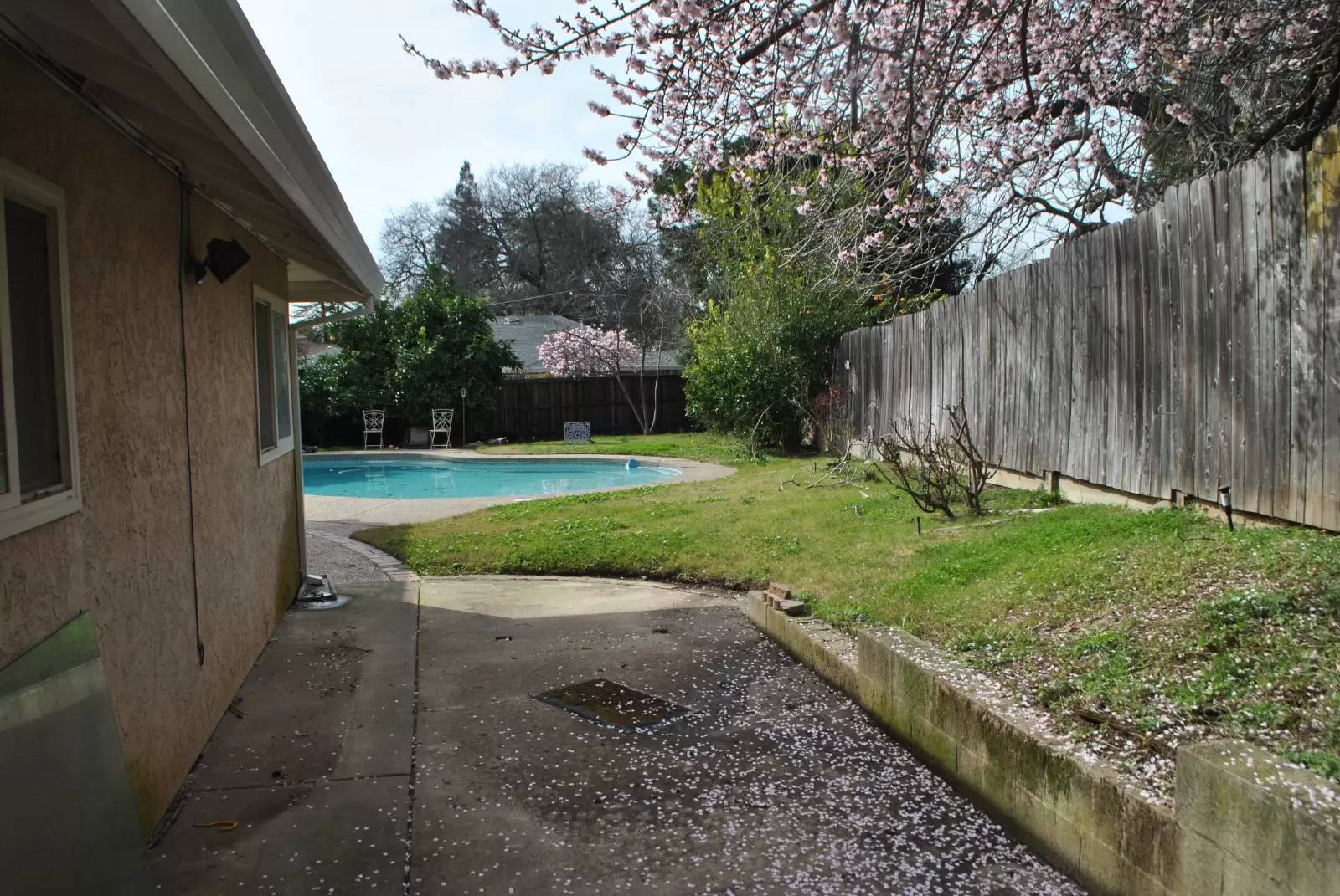 cover background