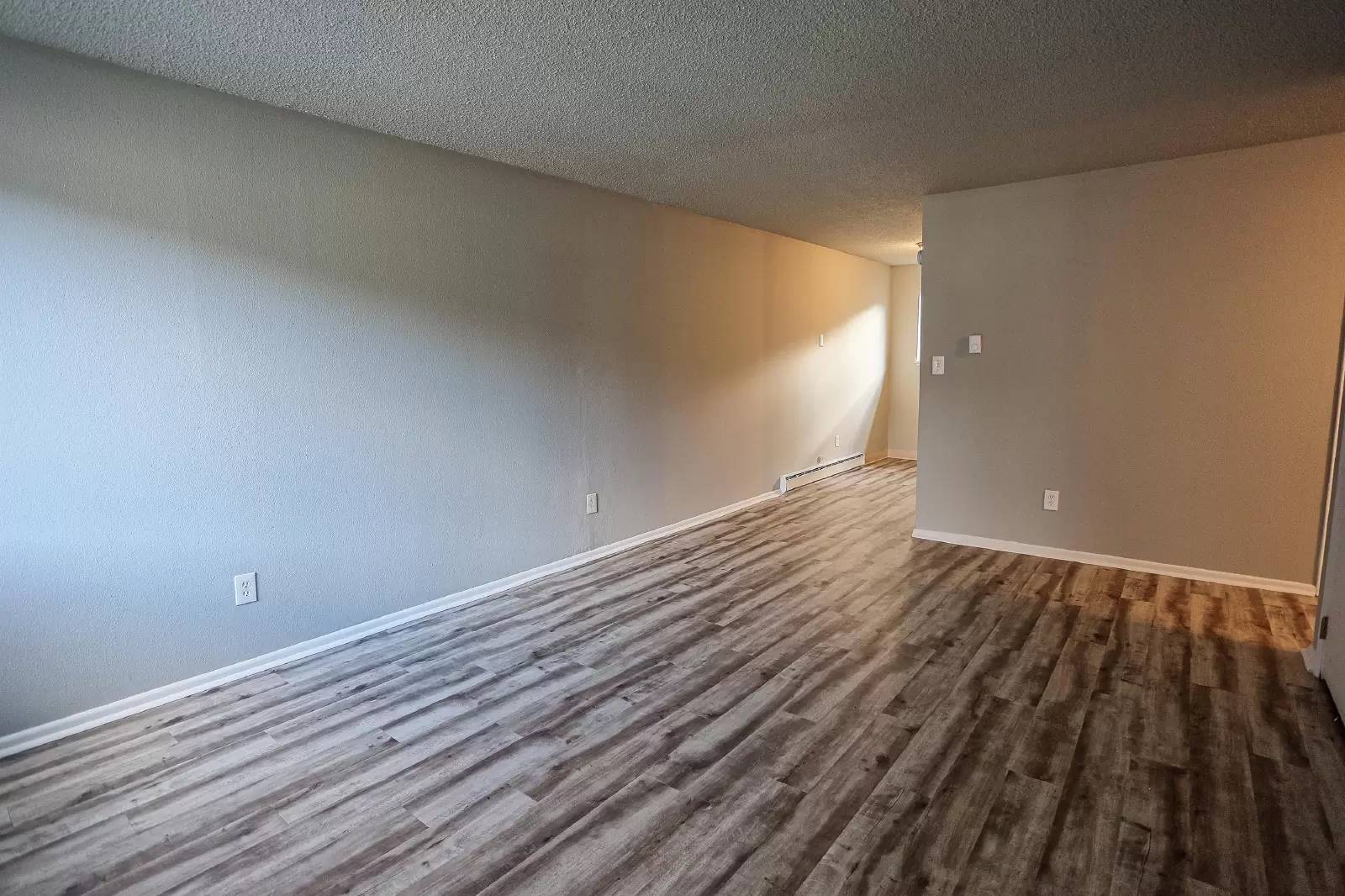 cover background