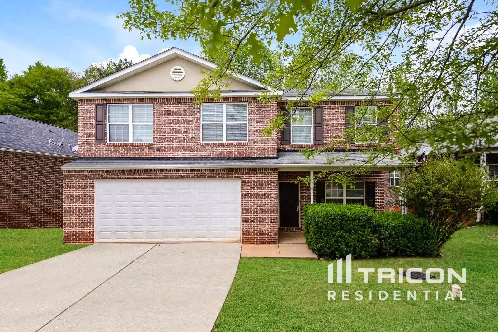 cover background