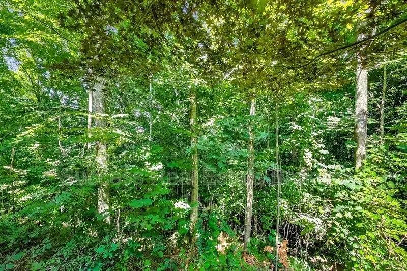 Property Image 80