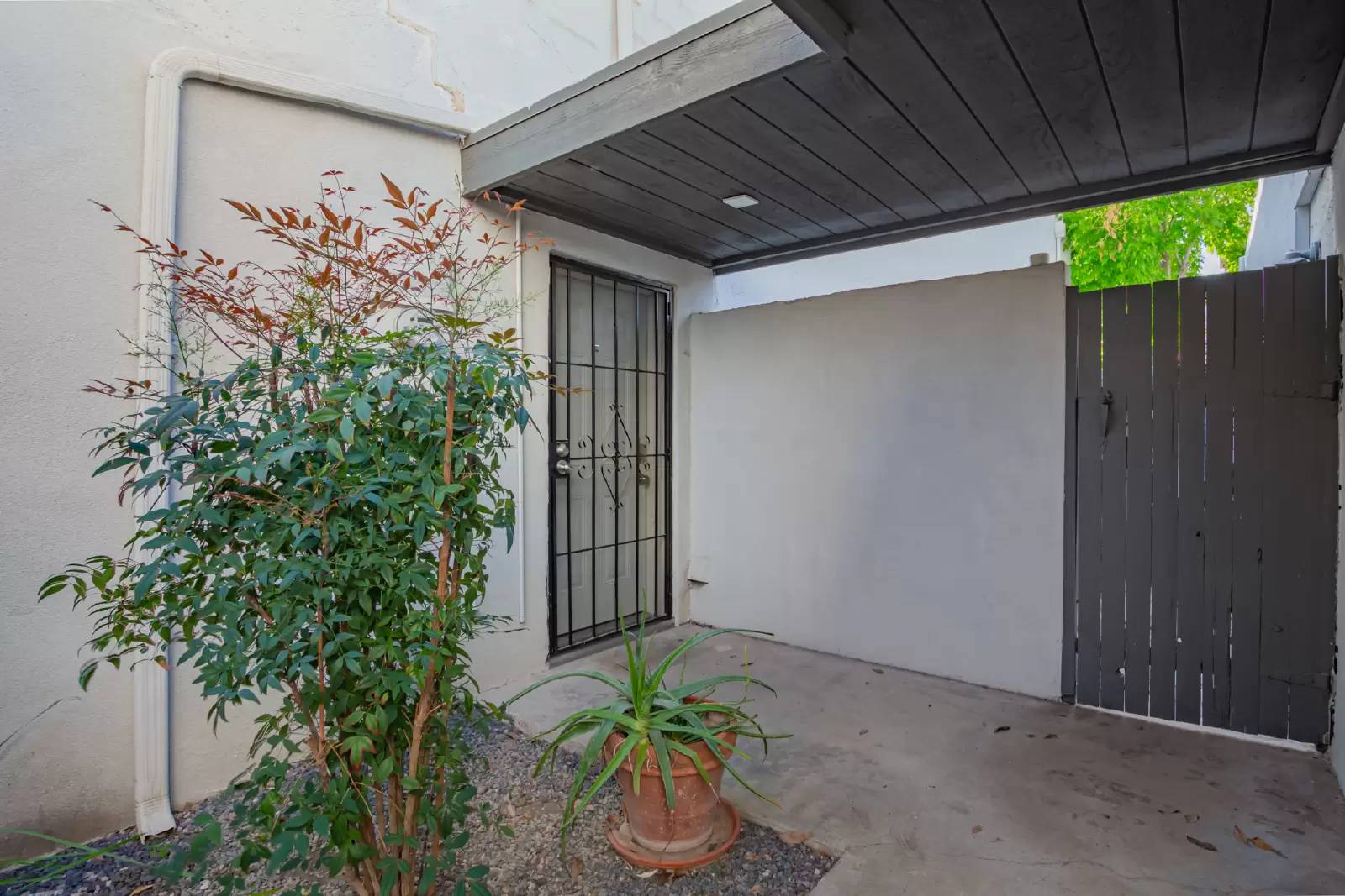cover background